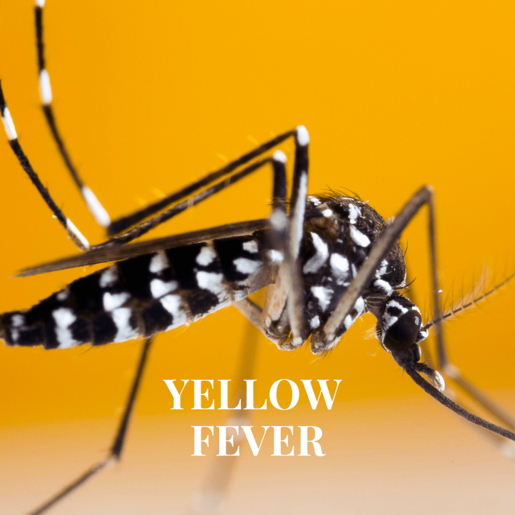 Yellow Fever Vaccination in Glasgow